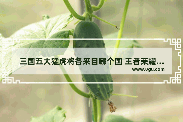 三国五大猛虎将各来自哪个国 王者荣耀五大关羽