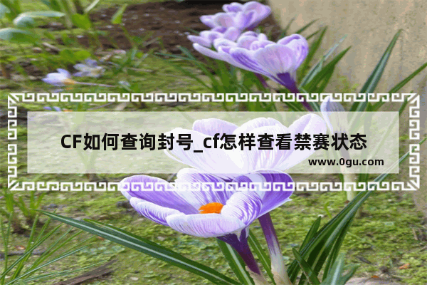 CF如何查询封号_cf怎样查看禁赛状态