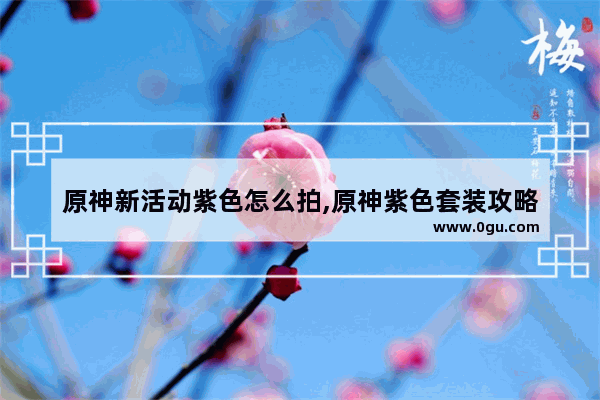 原神新活动紫色怎么拍,原神紫色套装攻略
