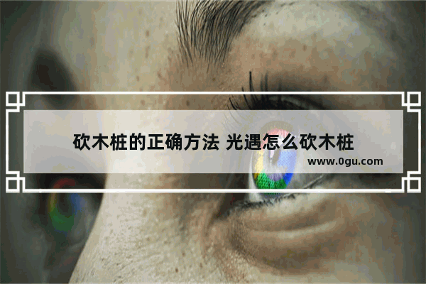砍木桩的正确方法 光遇怎么砍木桩