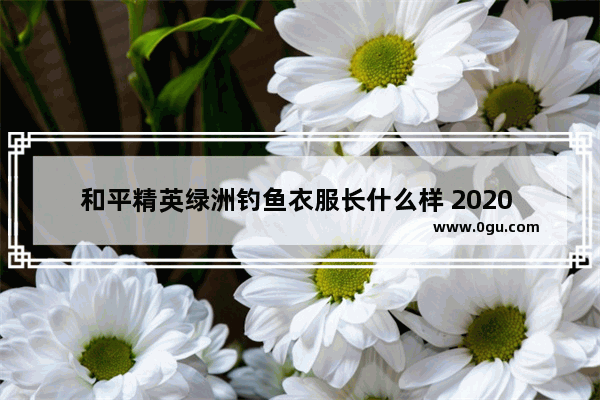 和平精英绿洲钓鱼衣服长什么样 2020 和平精英衣服