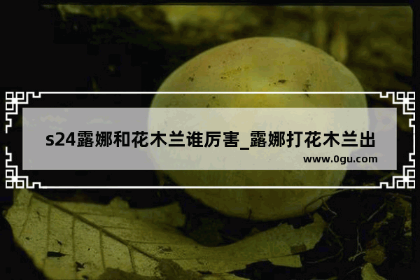 s24露娜和花木兰谁厉害_露娜打花木兰出什么装好