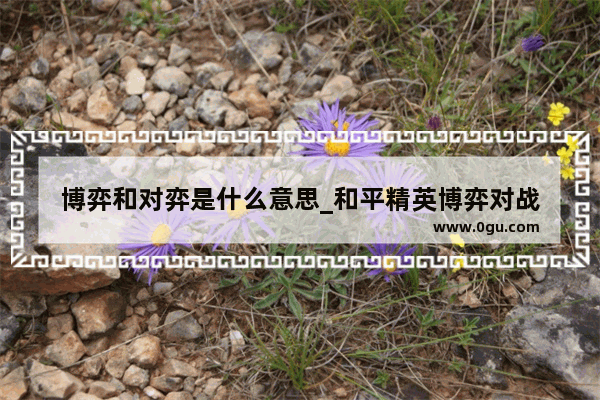 博弈和对弈是什么意思_和平精英博弈对战