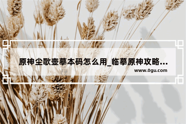 原神尘歌壶摹本码怎么用_临摹原神攻略角色