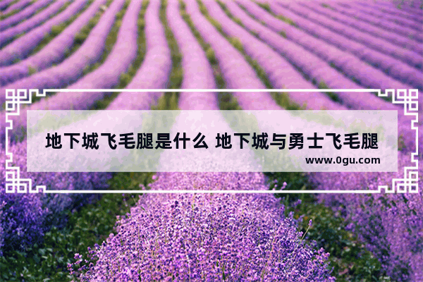 地下城飞毛腿是什么 地下城与勇士飞毛腿
