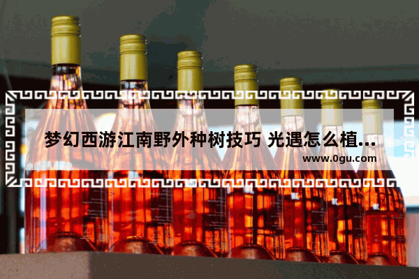 梦幻西游江南野外种树技巧 光遇怎么植树活动