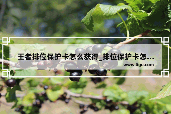王者排位保护卡怎么获得_排位保护卡怎么获得