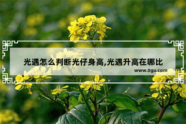 光遇怎么判断光仔身高,光遇升高在哪比