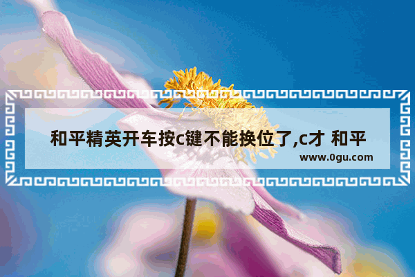 和平精英开车按c键不能换位了,c才 和平精英