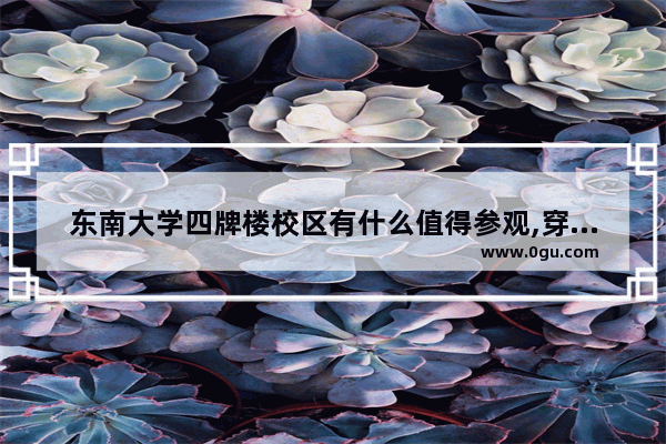 东南大学四牌楼校区有什么值得参观,穿越火线梧桐大学