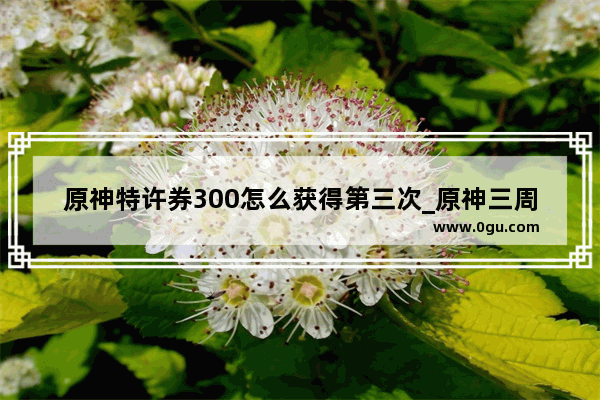 原神特许券300怎么获得第三次_原神三周年送的20连抽怎么拿