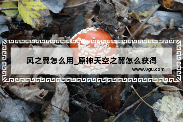 风之翼怎么用_原神天空之翼怎么获得