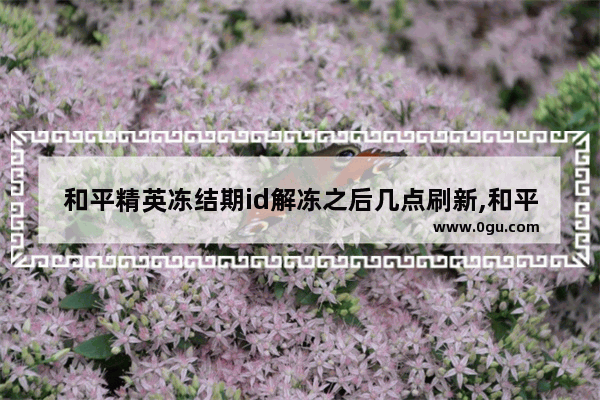 和平精英冻结期id解冻之后几点刷新,和平精英冻结页面
