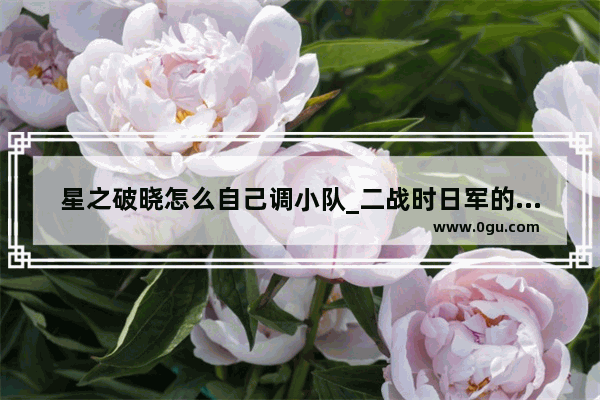 星之破晓怎么自己调小队_二战时日军的编制及武器配置如何