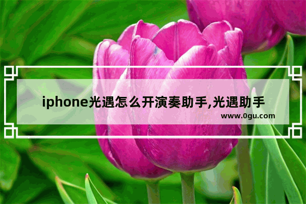 iphone光遇怎么开演奏助手,光遇助手测试服