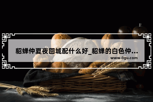 貂蝉仲夏夜回城配什么好_貂蝉的白色仲夏夜之梦还需要买紫色的吗