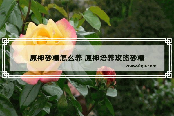 原神砂糖怎么养 原神培养攻略砂糖