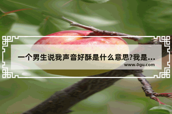 一个男生说我声音好酥是什么意思?我是女生,穿越火线男性声音