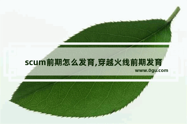 scum前期怎么发育,穿越火线前期发育