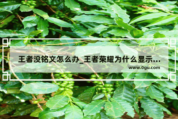 王者没铭文怎么办_王者荣耀为什么显示没有佩戴铭文