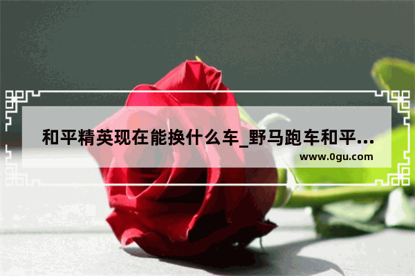 和平精英现在能换什么车_野马跑车和平精英