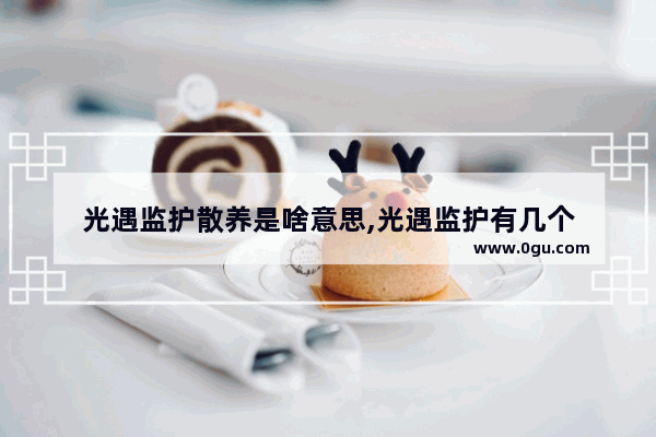 光遇监护散养是啥意思,光遇监护有几个