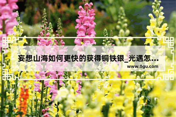 妄想山海如何更快的获得铜铁银_光遇怎么++送礼