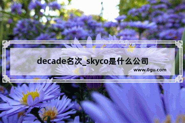 decade名次_skyco是什么公司