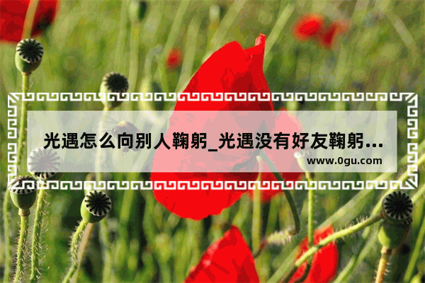 光遇怎么向别人鞠躬_光遇没有好友鞠躬怎么完成