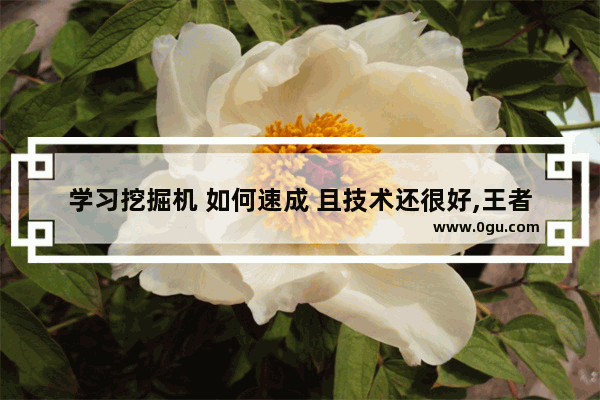 学习挖掘机 如何速成 且技术还很好,王者荣耀速成攻略