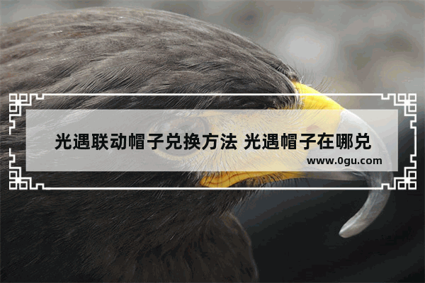 光遇联动帽子兑换方法 光遇帽子在哪兑