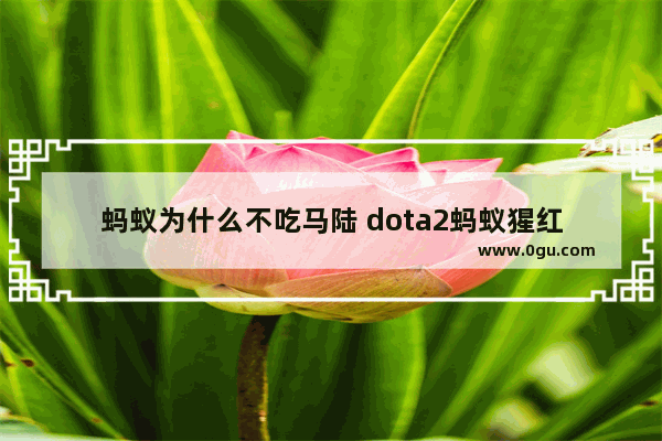 蚂蚁为什么不吃马陆 dota2蚂蚁猩红