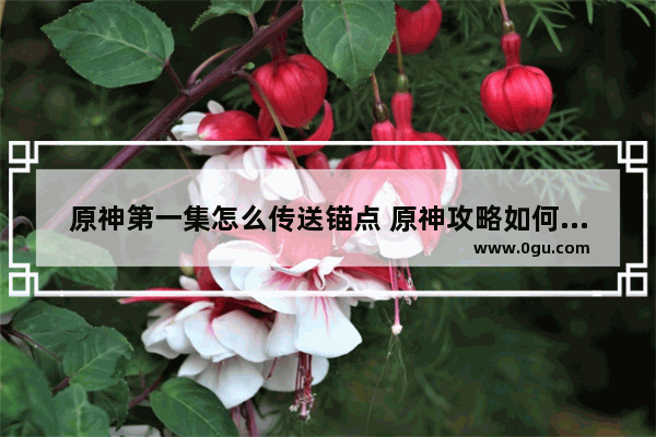 原神第一集怎么传送锚点 原神攻略如何传送