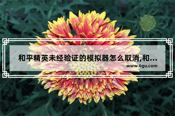 和平精英未经验证的模拟器怎么取消,和平精英总验证