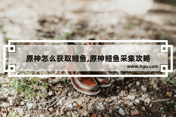 原神怎么获取鳗鱼,原神鳗鱼采集攻略