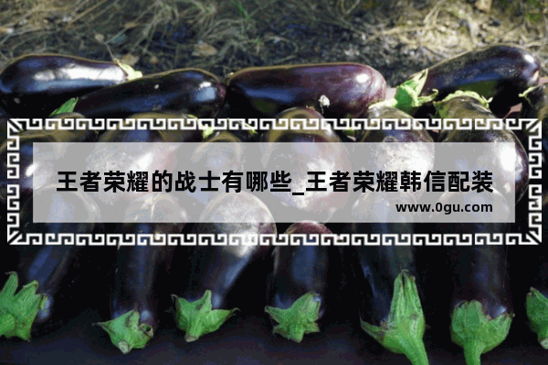 王者荣耀的战士有哪些_王者荣耀韩信配装