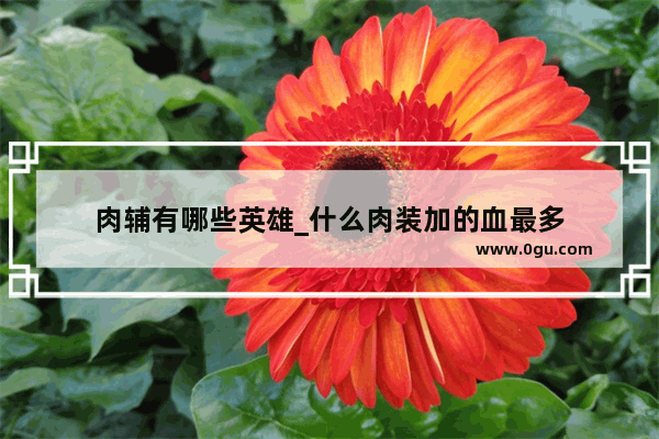 肉辅有哪些英雄_什么肉装加的血最多