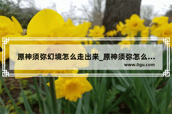 原神须弥幻境怎么走出来_原神须弥怎么换幻境
