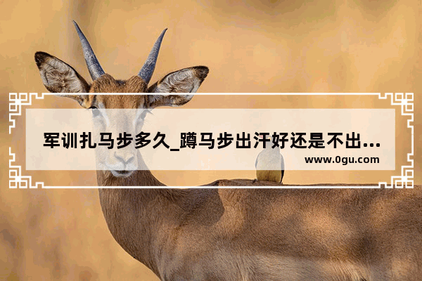 军训扎马步多久_蹲马步出汗好还是不出汗好