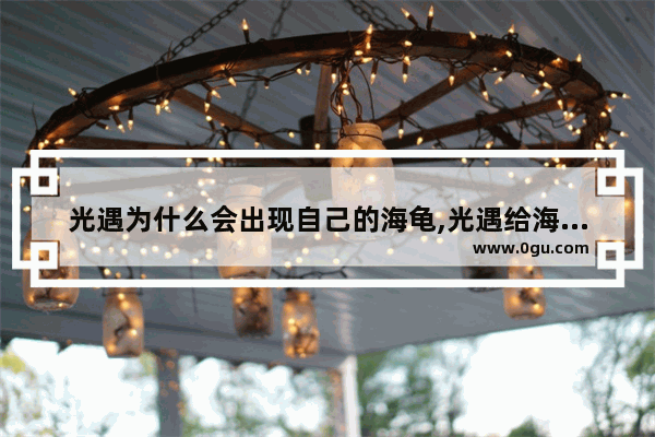 光遇为什么会出现自己的海龟,光遇给海龟清理