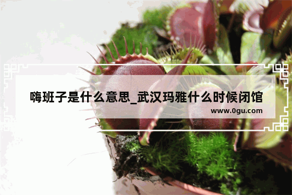 嗨班子是什么意思_武汉玛雅什么时候闭馆