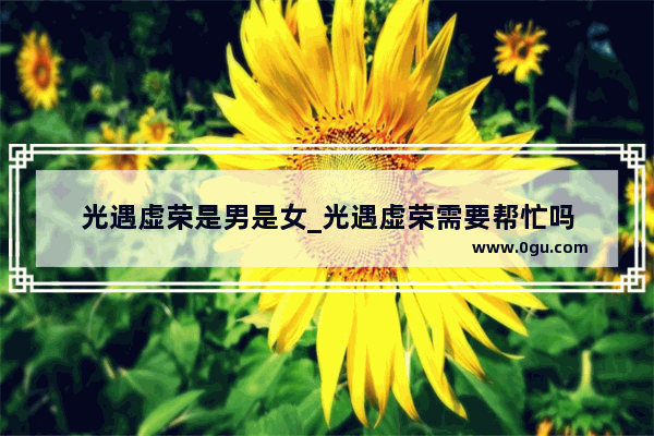 光遇虚荣是男是女_光遇虚荣需要帮忙吗