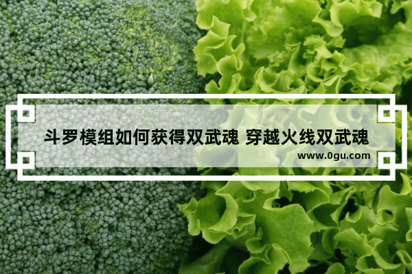 斗罗模组如何获得双武魂 穿越火线双武魂