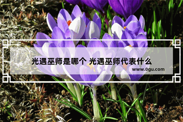 光遇巫师是哪个 光遇巫师代表什么