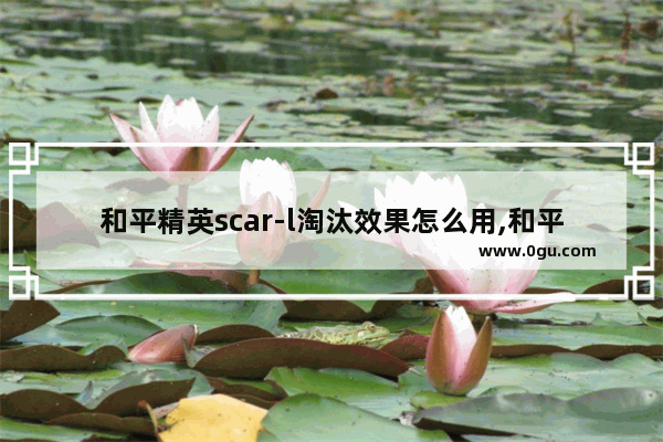 和平精英scar-l淘汰效果怎么用,和平精英淘汰我