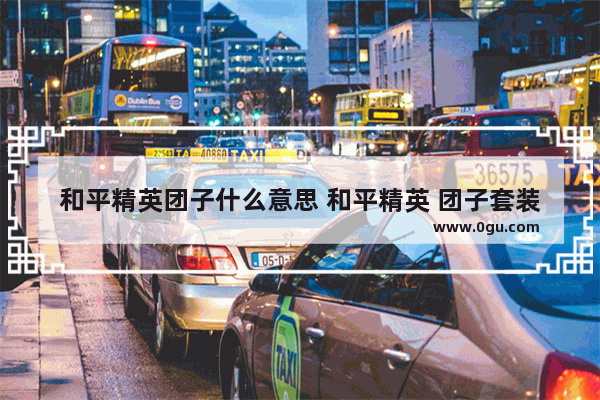 和平精英团子什么意思 和平精英 团子套装