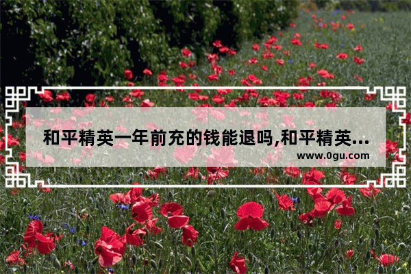 和平精英一年前充的钱能退吗,和平精英最老板