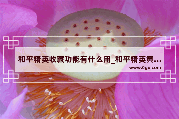 和平精英收藏功能有什么用_和平精英黄金岛收藏装备怎么设置