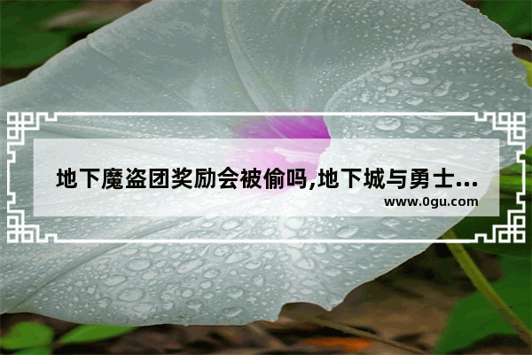 地下魔盗团奖励会被偷吗,地下城与勇士欺骗