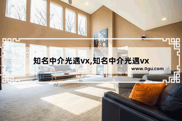 知名中介光遇vx,知名中介光遇vx